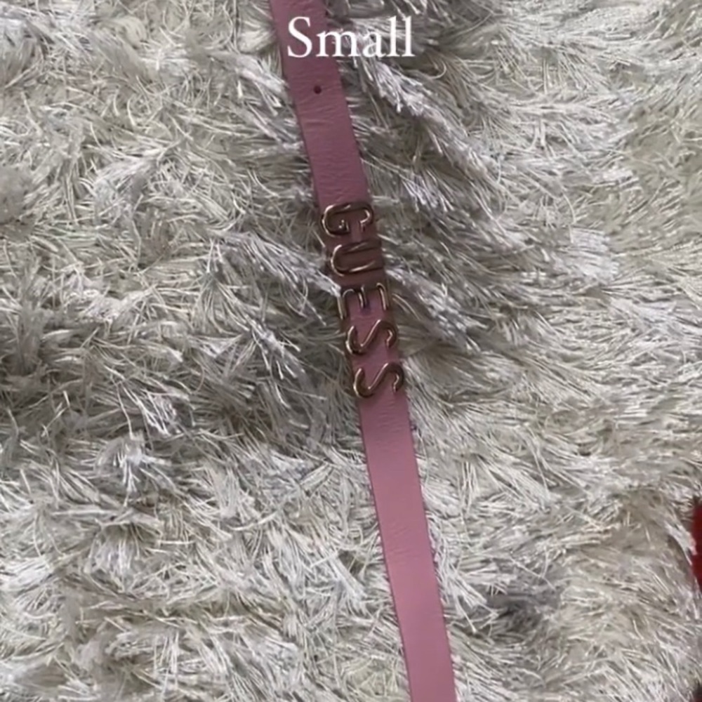 Guess belt